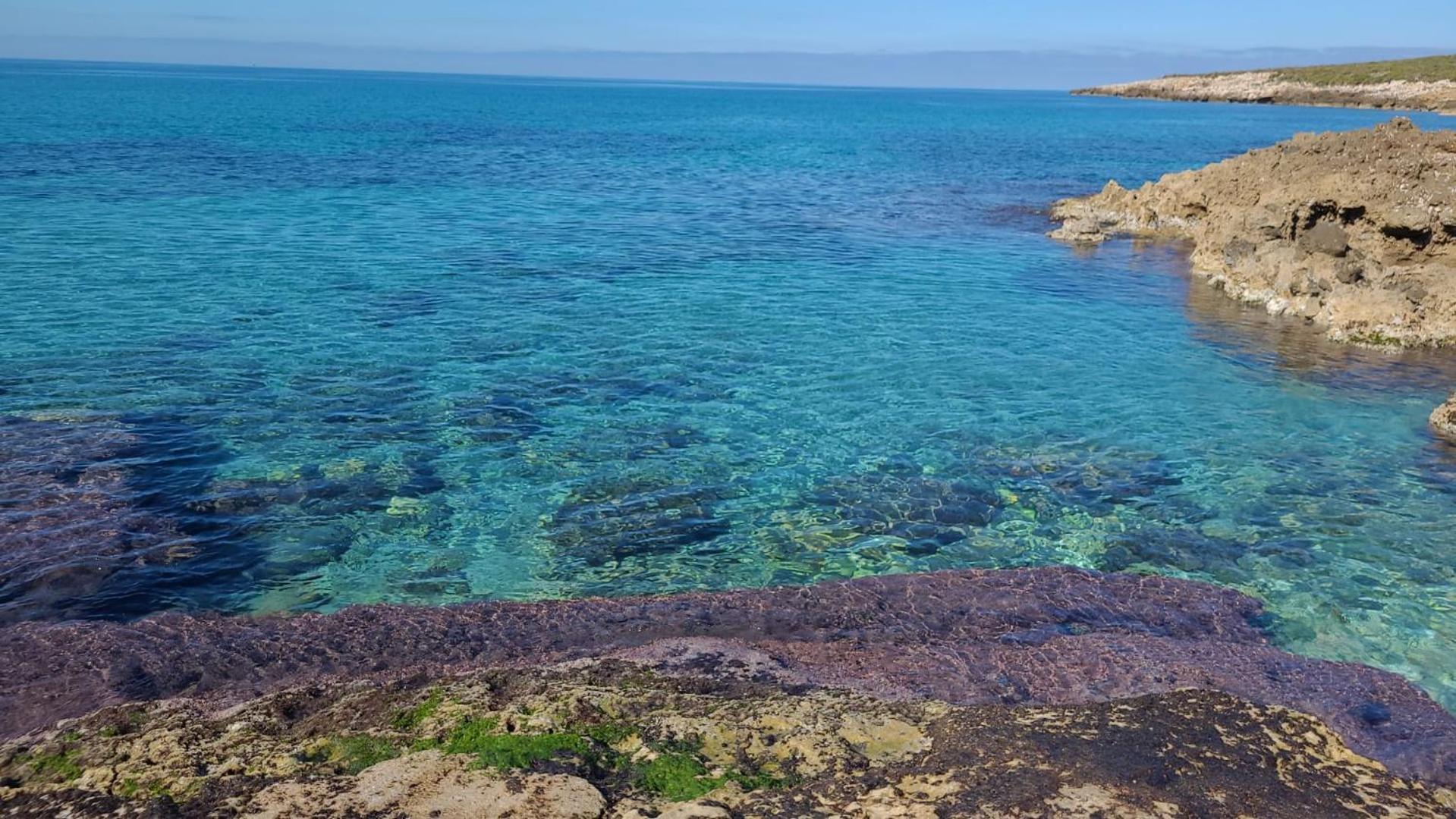 Villa Casa Del Nespolo Tonnara di Bonagia Esterno foto